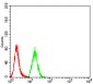 Mouse Monoclonal Antibody to GH1