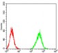 Mouse Monoclonal Antibody to ZFP91