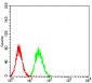 Mouse Monoclonal Antibody to BUB1