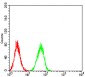 Mouse Monoclonal Antibody to ESRRA