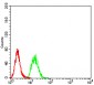 Mouse Monoclonal Antibody to ESRRA