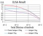 Mouse Monoclonal Antibody to SOD2