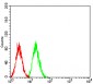 Mouse Monoclonal Antibody to SOD2