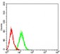 Mouse Monoclonal Antibody to SOD2