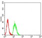 Mouse Monoclonal Antibody to KDM3A