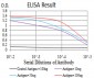 Mouse Monoclonal Antibody to MET