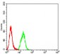 Mouse Monoclonal Antibody to SYK