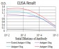 Mouse Monoclonal Antibody to SYK