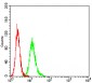 Mouse Monoclonal Antibody to SYK