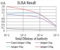 Mouse Monoclonal Antibody to IDH1