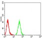 Mouse Monoclonal Antibody to IDH1