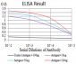 Mouse Monoclonal Antibody to IDH1