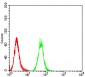 Mouse Monoclonal Antibody to IDH1