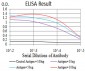 Mouse Monoclonal Antibody to C1QA