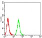 Mouse Monoclonal Antibody to C1QA