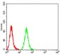 Mouse Monoclonal Antibody to C1QA