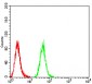 Mouse Monoclonal Antibody to C1QA