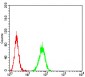 Mouse Monoclonal Antibody to IL1R1