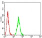 Mouse Monoclonal Antibody to ALK