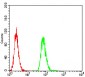 Mouse Monoclonal Antibody to HLA-DRA