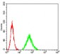 Mouse Monoclonal Antibody to HLA-B