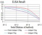 Mouse Monoclonal Antibody to HLA-B