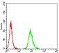 Mouse Monoclonal Antibody to NR1I2