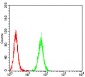 Mouse Monoclonal Antibody to NR1I2