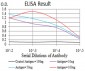 Mouse Monoclonal Antibody to UHRF1