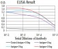 Mouse Monoclonal Antibody to UHRF1