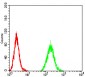 Mouse Monoclonal Antibody to UHRF1