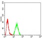 Mouse Monoclonal Antibody to DOC2