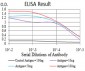 Mouse Monoclonal Antibody to ANAPC11