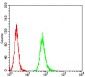 Mouse Monoclonal Antibody to ANAPC11