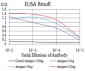 Mouse Monoclonal Antibody to ADRB2