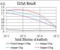 Mouse Monoclonal Antibody to ADRB2