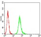 Mouse Monoclonal Antibody to ADRB2