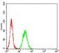 Mouse Monoclonal Antibody to THBS1