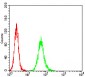 Mouse Monoclonal Antibody to ANAPC10