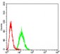 Mouse Monoclonal Antibody to ACVR1