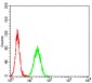 Mouse Monoclonal Antibody to BRD2