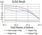 Mouse Monoclonal Antibody to ESR1