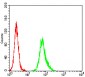 Mouse Monoclonal Antibody to ESR1