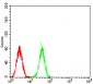 Mouse Monoclonal Antibody to CDC37