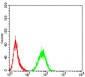 Mouse Monoclonal Antibody to ADIPOQ