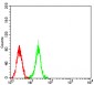 Mouse Monoclonal Antibody to ASH2L