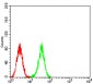 Mouse Monoclonal Antibody to ATG2A