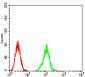 Mouse Monoclonal Antibody to ATG2A