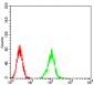 Mouse Monoclonal Antibody to ATG2A