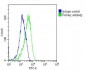 RAB23 Antibody